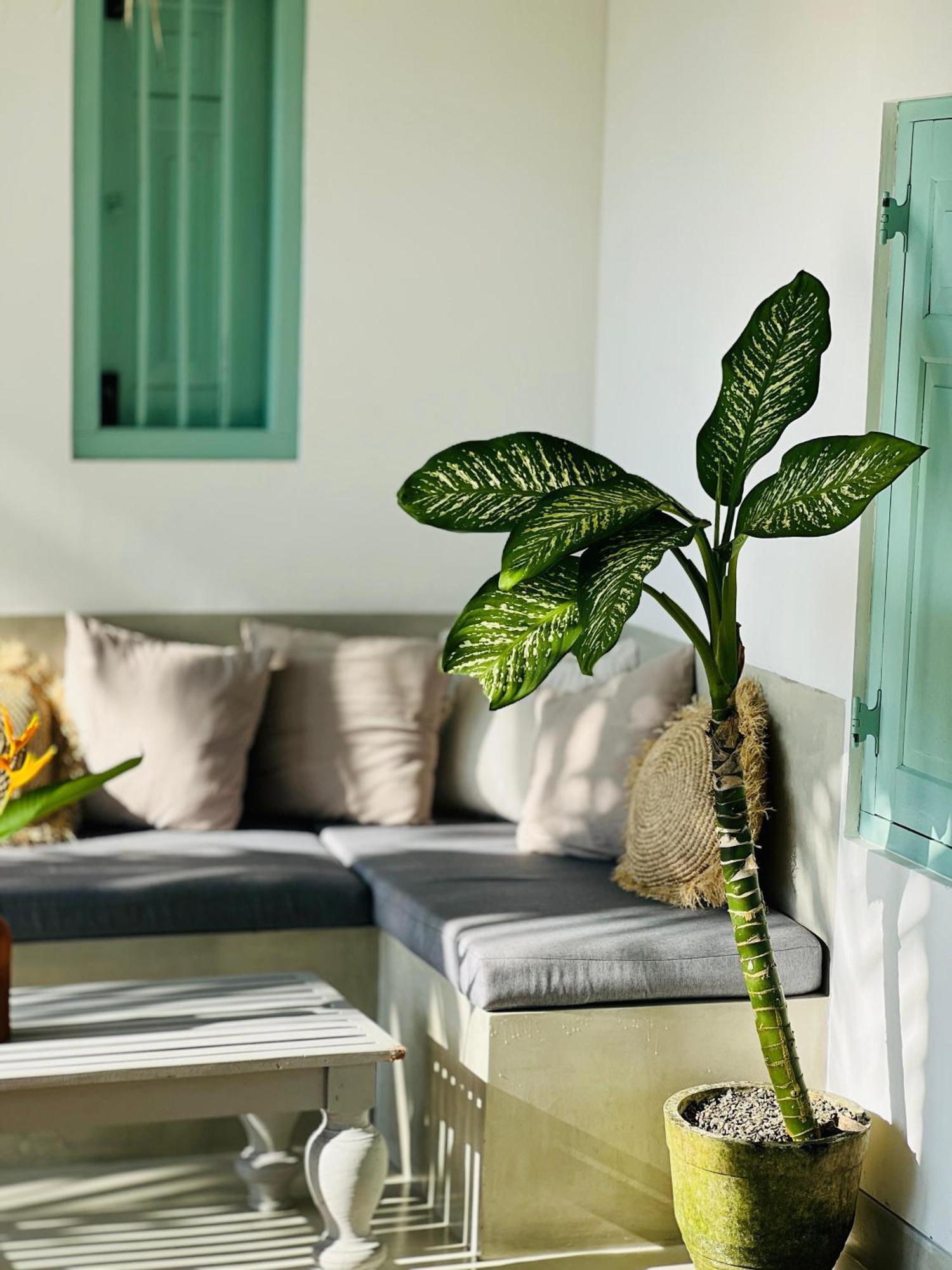 Water'S Edge Villa Ahangama Εξωτερικό φωτογραφία